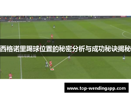 西格诺里踢球位置的秘密分析与成功秘诀揭秘 西格诺里踢球位置的秘密分析与成功秘诀揭秘