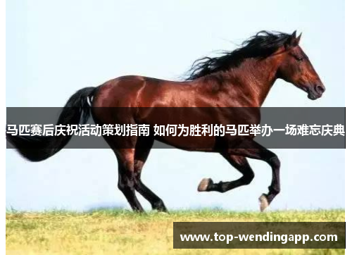 马匹赛后庆祝活动策划指南 如何为胜利的马匹举办一场难忘庆典 马匹赛后庆祝活动策划指南 如何为胜利的马匹举办一场难忘庆典