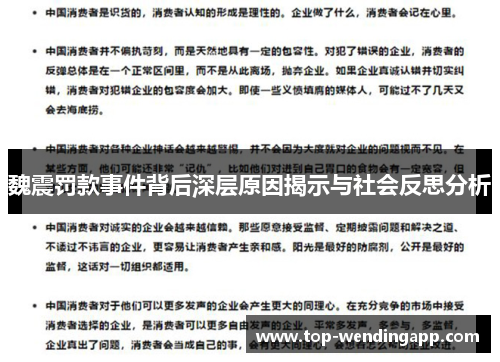 魏震罚款事件背后深层原因揭示与社会反思分析